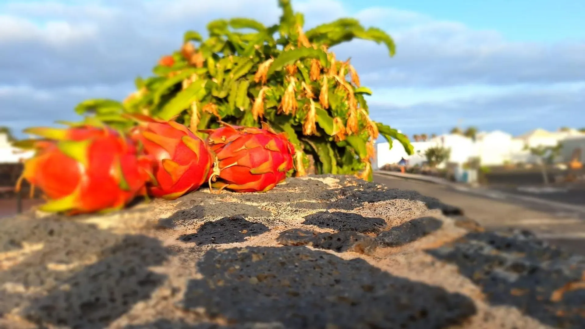 Holiday home Mar En Calma Villa Teguise  Spain